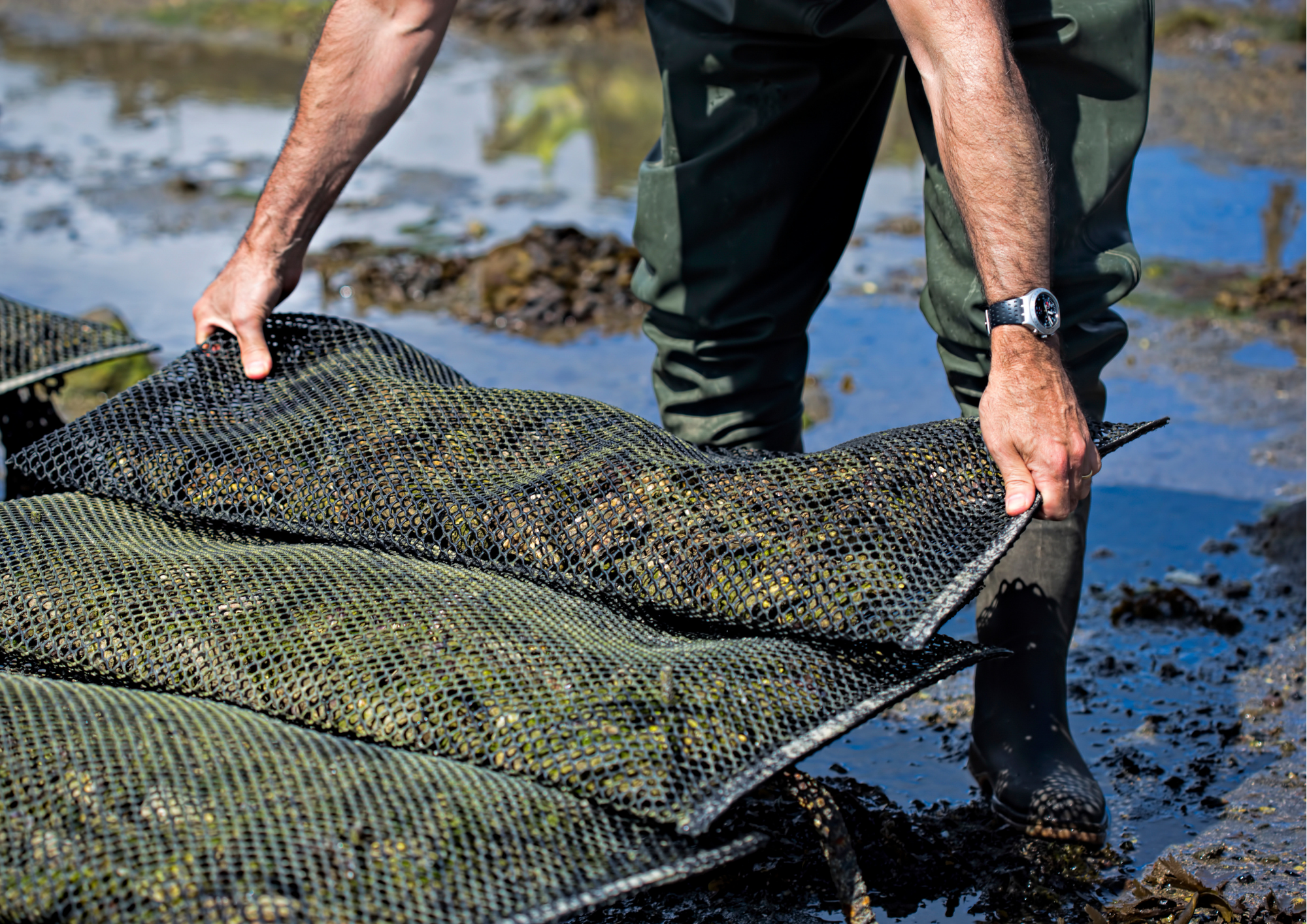 stéphan visuels(1)