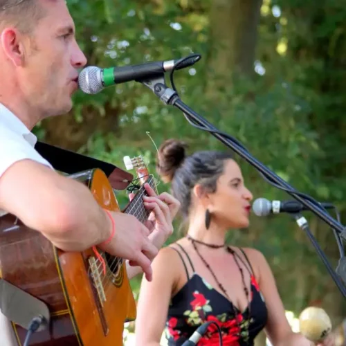 50227143851_36d4ee54bf_o